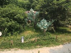 -无锡动物园·太湖欢乐园