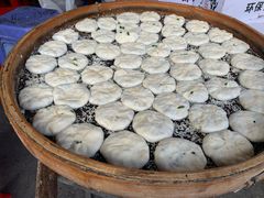 -金莲葱饼