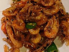 -七菜馆·东北菜·蒸饺(文体路店)
