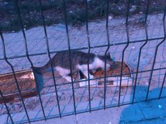 -北京外交人员免税商店(分店)