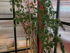 -蛙一刀·麻椒鱼火锅(金仙桥店)