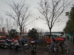 -合肥滨湖国家森林公园