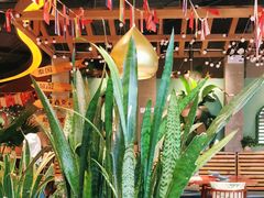 -泰兰香·Thailand(凯德空中花园店)