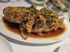 -金春禧(世茂国际广场店)