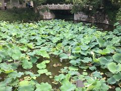 -水绘园