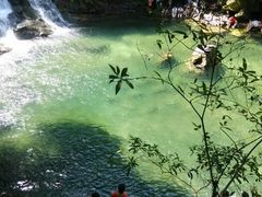 android_upload_pic-鼎湖山风景区