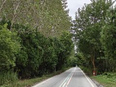 -黄海国家森林公园