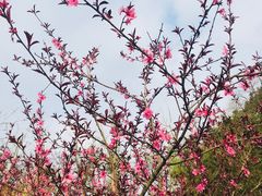 -常德桃花源景区