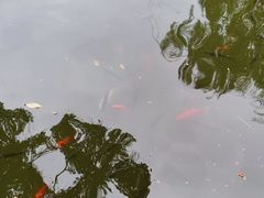 -绵阳人民公园(涪城区)
