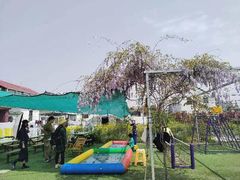 -小鱼草莓采摘园农家乐·小鱼餐厅