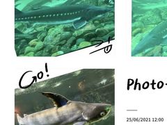 -太平洋海底世界