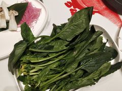 -红鼎豆捞·非遗鲍皇汤火锅(宝丰路店)