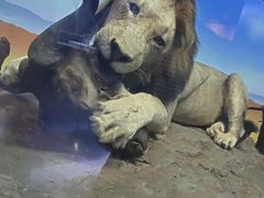 -国家自然博物馆