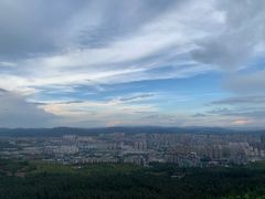 -长虫山生态公园风景林
