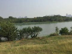 -盘龙城国家考古遗址公园