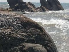 -青岛第三海水浴场