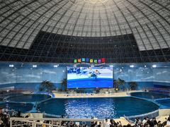 -泉城欧乐堡海洋极地世界