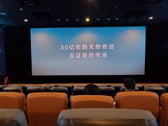 -首都电影院(金融街店 杜比全景声)