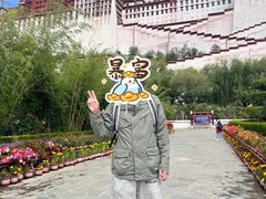 -布达拉宫