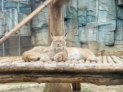 -石家庄市动物园