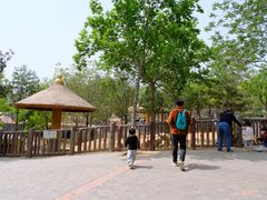 -石家庄市动物园