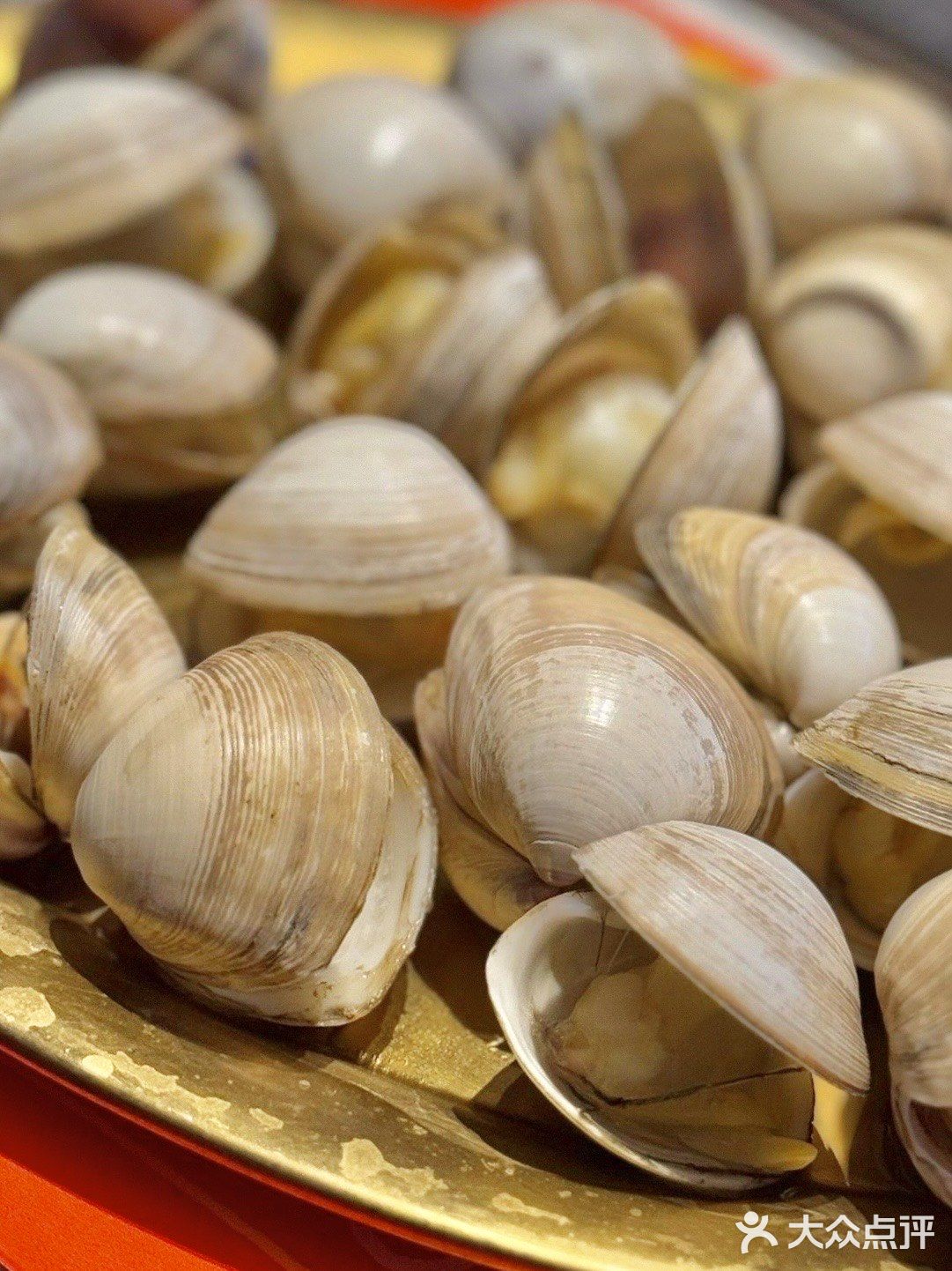 深圳的！深圳的！超滿足的海鮮燒烤體驗！✨🦀