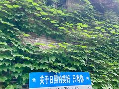 -日照海滨国家森林公园