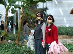 -南和农业嘉年华