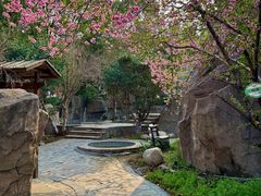 -汤山一号温泉度假区