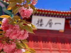-天津大悲禅院