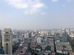 -紫峰大厦