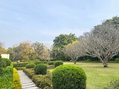 -中国科学院西双版纳热带植物园