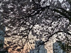 -红星桥(地铁站)