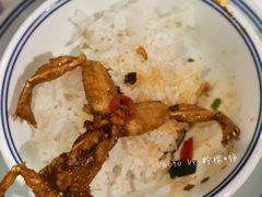 -壹盏灯(惠农店)