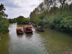 -溱湖国家湿地公园