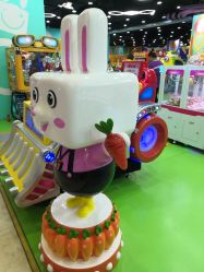 -哈尼兔儿童游戏乐园(沈阳大东龙之梦店)