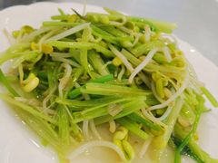 -金海湾海鲜排档(朱家尖店)