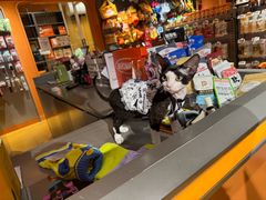 -MARSMART PETS火星宠物超市(1733店)