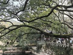 -普陀山慧济禅寺