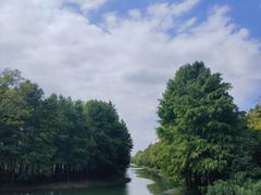 -贡湖湾湿地公园