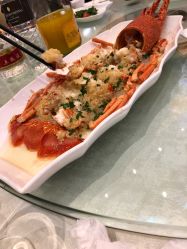 -无锡君来洲际酒店·宴会厅
