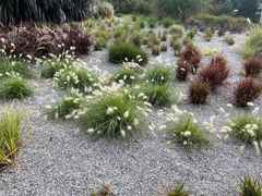 -昆明植物园