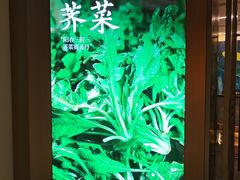 -祥记餐饮•豫粤珍味(金隅大厦店)