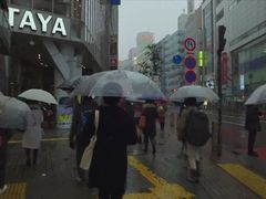 -涩谷全向十字路口