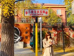 -三里屯东五街银杏大道