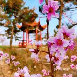 只要稍有留心，就会发现美丽无处不在