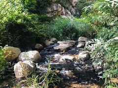 -碓臼峪自然风景区