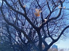 -人民广场