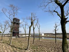 -春花秋色城市公园