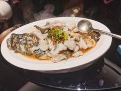 青花椒蒸龙胆鱼-闽和南(深圳万象城店)